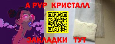мет Кингисепп