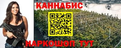 мет Кингисепп