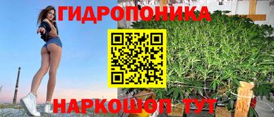 мет Кингисепп