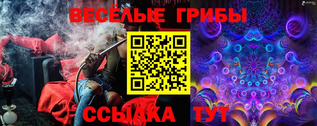 Лосино-Петровский  где найти   Вход с VPN  Псилоцибиновые грибы Cubensis 