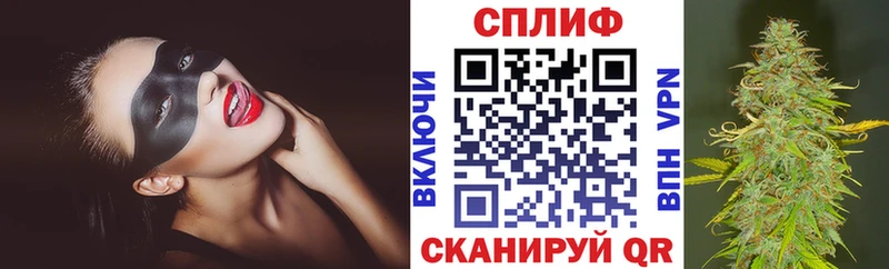 где продают   Лосино-Петровский  Бошки Шишки SATIVA & INDICA 